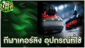 กีฬาเคอร์ลิง อุปกรณ์ที่ใช้