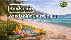 ชายฝั่งภูเก็ต ควรปลูกไม้ทนลมชนิดไหน