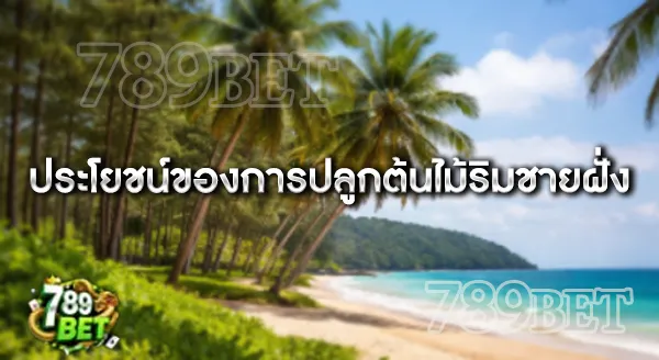 ชายฝั่งภูเก็ต ควรปลูกไม้ทนลมชนิดไหน