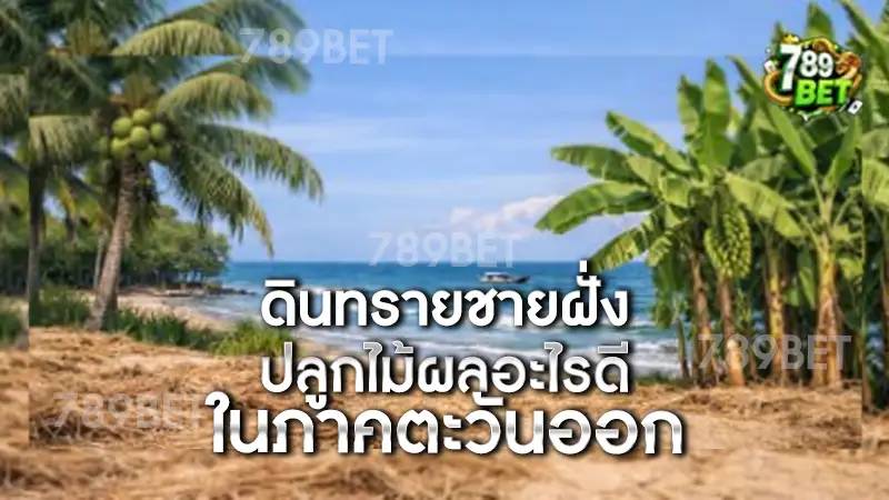 ดินทรายชายฝั่ง ปลูกไม้ผลอะไรดี