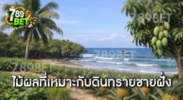 ดินทรายชายฝั่ง ปลูกไม้ผลอะไรดี