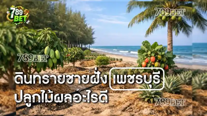 ดินทรายชายฝั่ง เพชรบุรี ปลูกไม้ผลอะไรดี