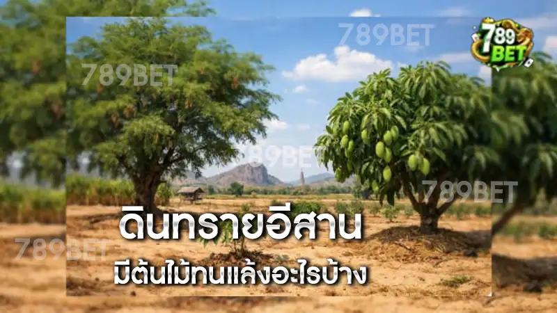 ดินทรายอีสาน มีต้นไม้ทนแล้งอะไรบ้าง