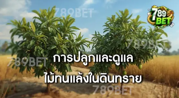 ดินทรายอีสาน มีต้นไม้ทนแล้งอะไรบ้าง