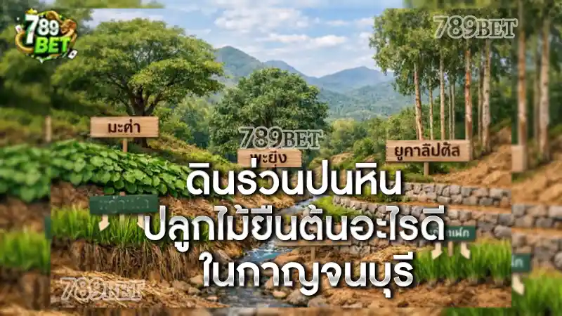 ดินร่วนปนหิน ปลูกไม้ยืนต้นอะไรดี