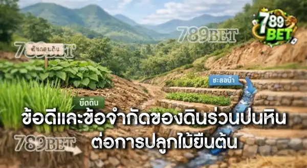 ดินร่วนปนหิน ปลูกไม้ยืนต้นอะไรดี