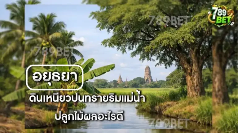 ดินเหนียวปนทรายริมแม่น้ำ ปลูกไม้ผลอะไรดี