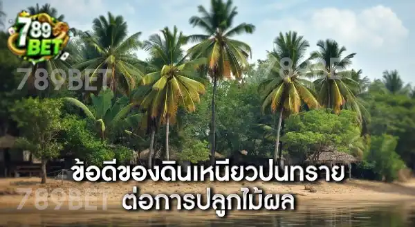 ดินเหนียวปนทรายริมแม่น้ำ ปลูกไม้ผลอะไรดี