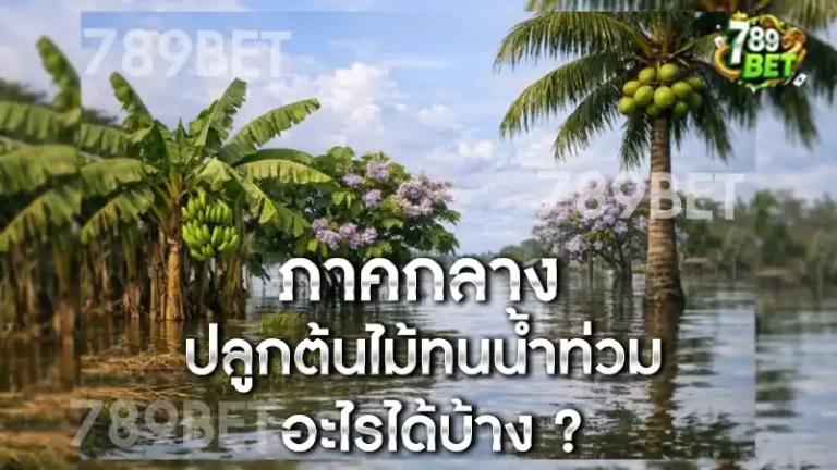 ภาคกลาง ปลูกต้นไม้ทนน้ำท่วม อะไรได้บ้าง