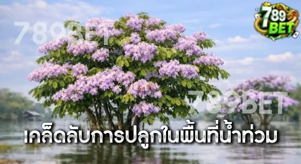 ภาคกลาง ปลูกต้นไม้ทนน้ำท่วม อะไรได้บ้าง