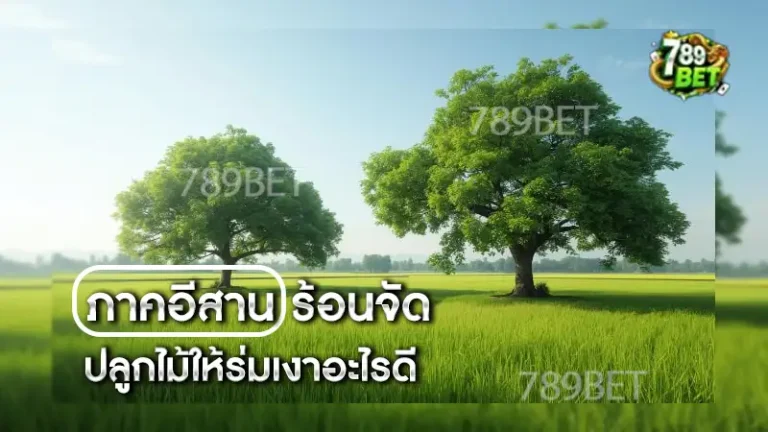 ภาคอีสานร้อนจัด ปลูกไม้ให้ร่มเงาอะไรดี