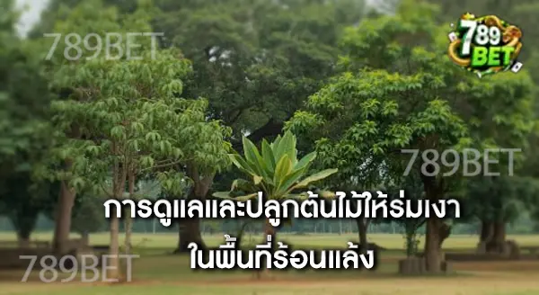 ภาคอีสานร้อนจัด ปลูกไม้ให้ร่มเงาอะไรดี