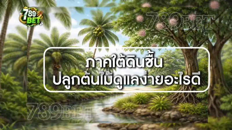 ภาคใต้ดินชื้น ปลูกต้นไม้ดูแลง่ายอะไรดี