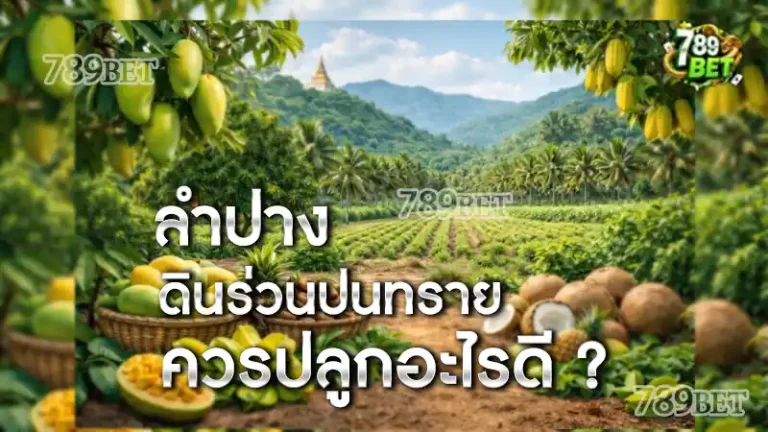 ลำปาง ดินร่วนปนทราย ควรปลูกต้นอะไรดี