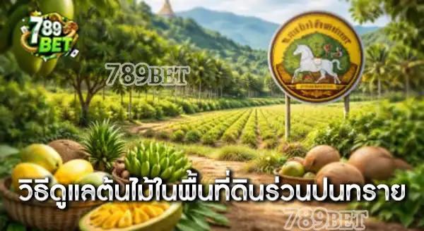 ลำปาง ดินร่วนปนทราย ควรปลูกต้นอะไรดี