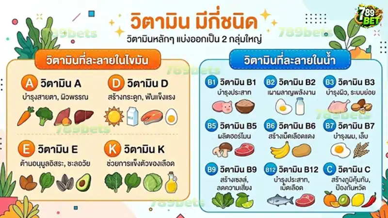 วิตามิน มีกี่ชนิด