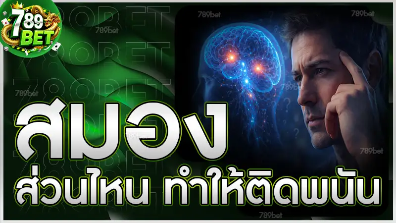 สมองส่วนไหน ทำให้ติดพนัน