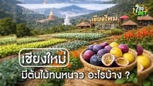 เชียงใหม่ มีต้นไม้ทนหนาว อะไรบ้าง