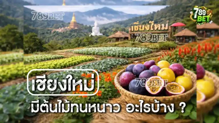 เชียงใหม่ มีต้นไม้ทนหนาว อะไรบ้าง