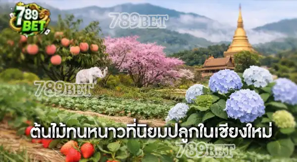 เชียงใหม่ มีต้นไม้ทนหนาว อะไรบ้าง