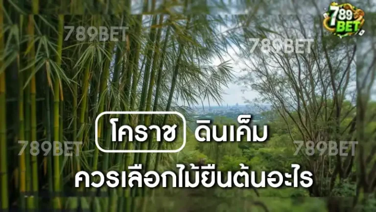 โคราชดินเค็ม ควรเลือกไม้ยืนต้นอะไร