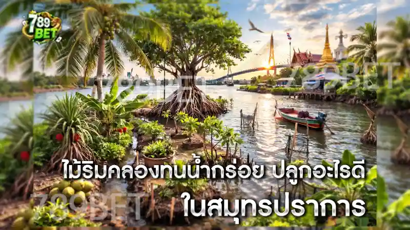 ไม้ริมคลองทนน้ำกร่อย ปลูกอะไรดี