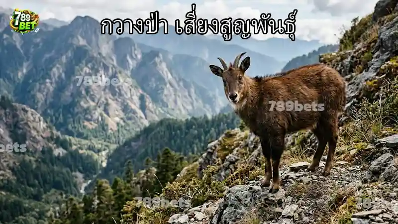 กวางป่า เสี่ยงสูญพันธุ์