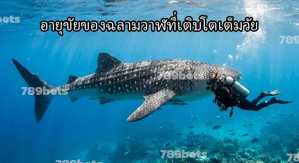 ปลาฉลามวาฬ สัตว์สงวน