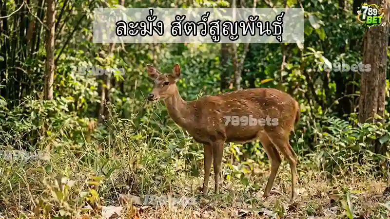 ละมั่ง สัตว์สูญพันธุ์