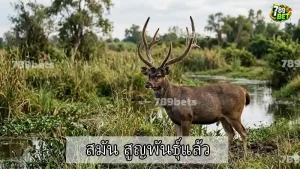 สมัน สูญพันธุ์แล้ว