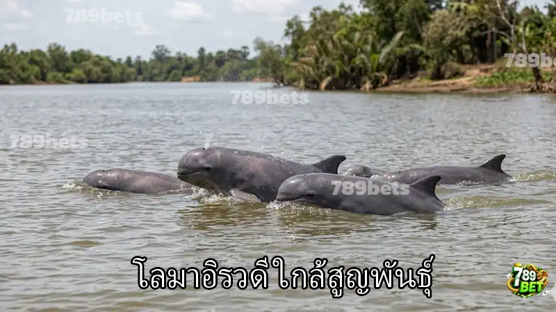 โลมาอิรวดี ใกล้สูญพันธุ์