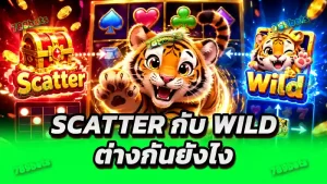 Scatter กับ Wild ต่างกันยังไง